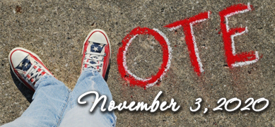 Vote in the November 3, 2020 General Election