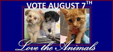 Millage NewsFlash Image