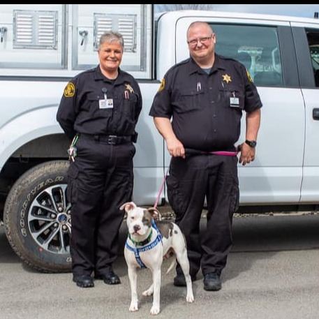 ACO 2nd Quarter 2019 Report